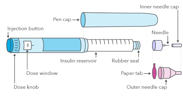 parts and pieces of an insulin pen